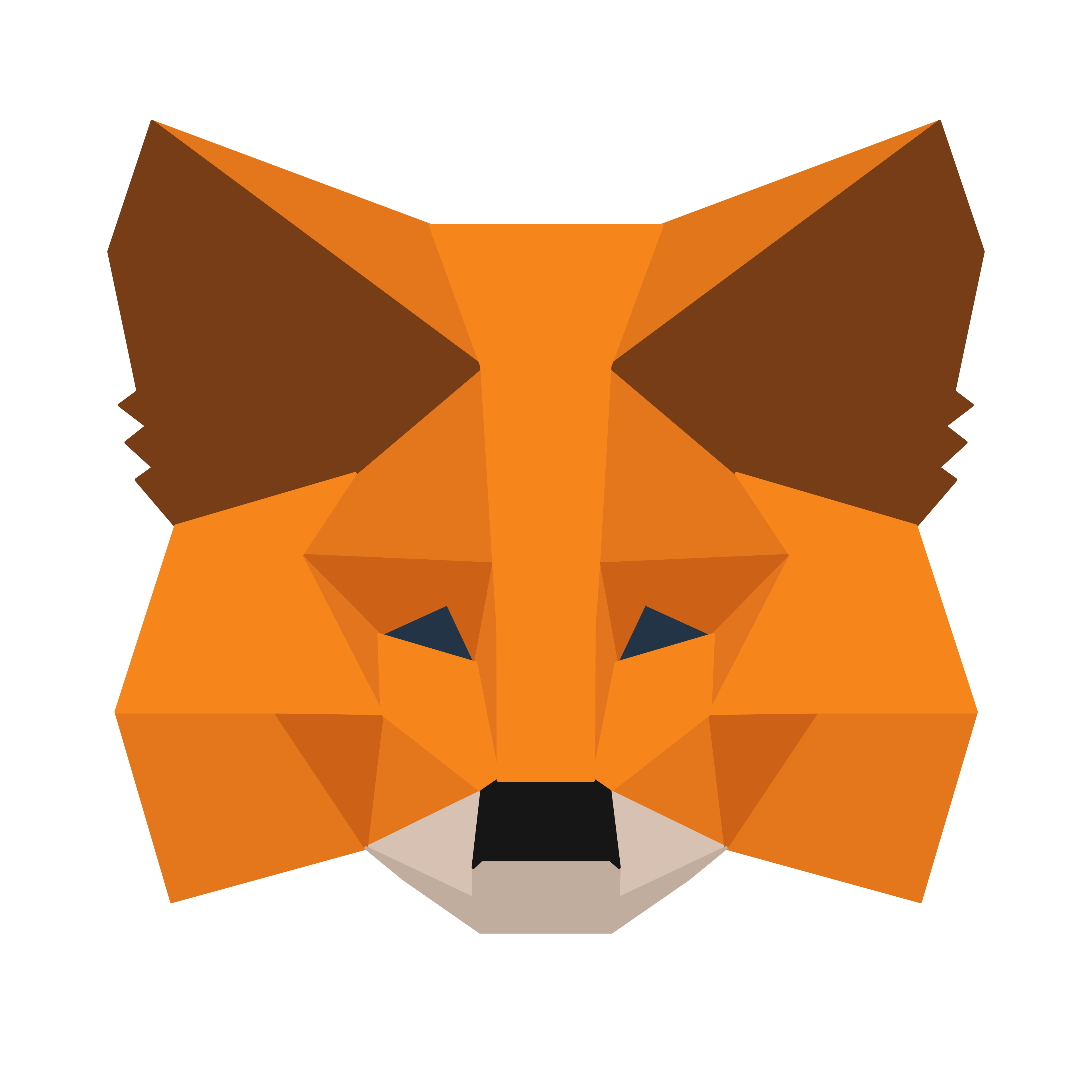Meta Mask